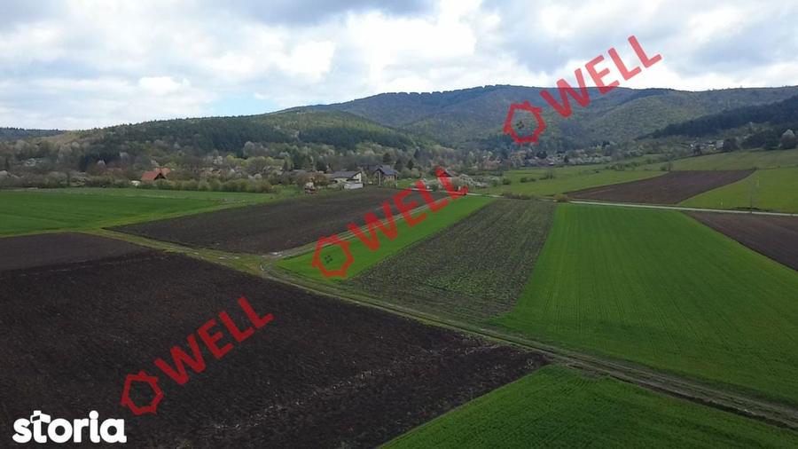 Teren intravilan de vanzare in Bicfalau! - 2