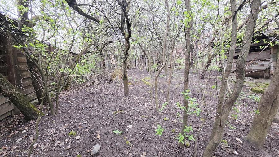 CASA 136 MP TEREN 561 MP FRONT 14 ML ZORILOR  MARINESCU - 7