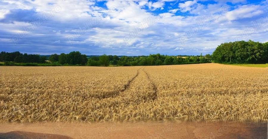 Judetul Dambovita, teren agricol - 3