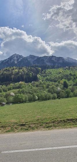 Teren de vanzare Plaiul Foii- Zarnesti - 10