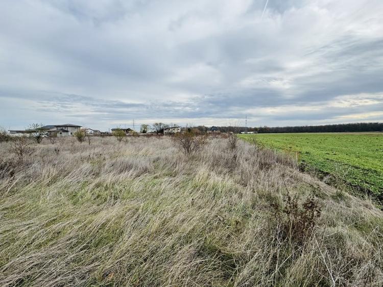 OPORTUNITATE, Teren de Vanzare in Magurele, Varteju Parcelabil - 13