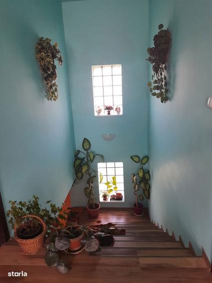 Casa separata cu 3 camere in Oradea - 3