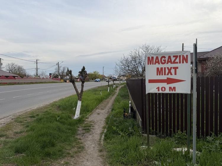 Teren intravilan 700mp, Lilieci, Ialomita(20 min de Bucuresti) - 6