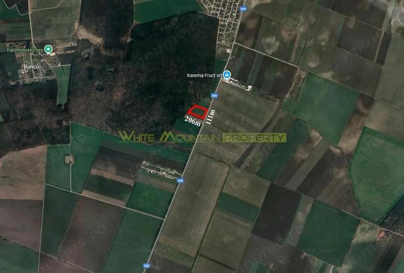 Dascalu, Ilfov, 2 ha teren de vanzare - 2