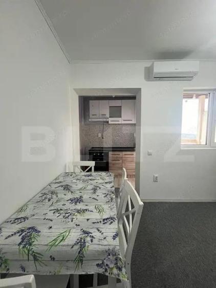 Apartament 1 camera CIUREA - 11