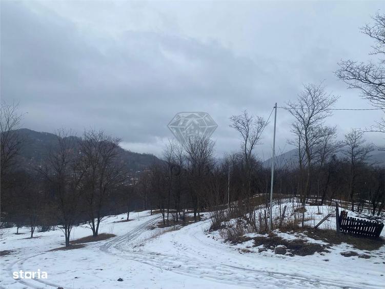 Teren Valea Doftanei - 5