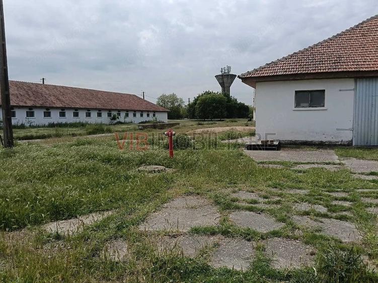 Ferma complet utilata 30 ha teren comasat cu 11.500mp grajduri renovate Timi? Comuna Biled - 15