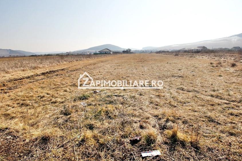 Teren  Intravilan 2.075 mp. 59.euro mp.Sangeorgiu de Mures - 5