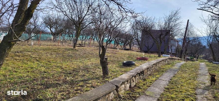 Teren Intravilan 43Ari zona Ortelec-Zalau intre case 4800eur/ar - 1
