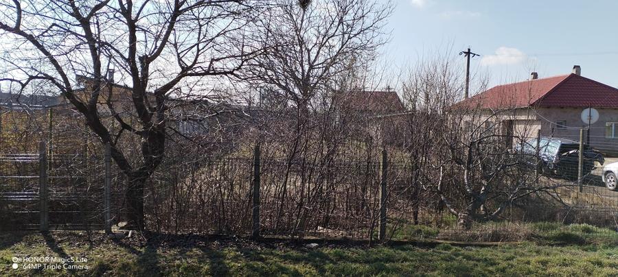 POIANA TEREN DE VANZARE - 1