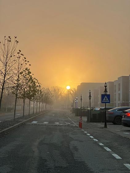 APARTAMENT 2 CAMERE MAGNOLIA VILLAGE PAULESTI - 7