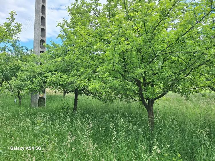 De vanzare casa si gradina 2782 mp in Rebrisoara - 3