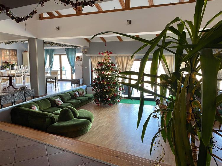 Vand vila superba Faget - 1