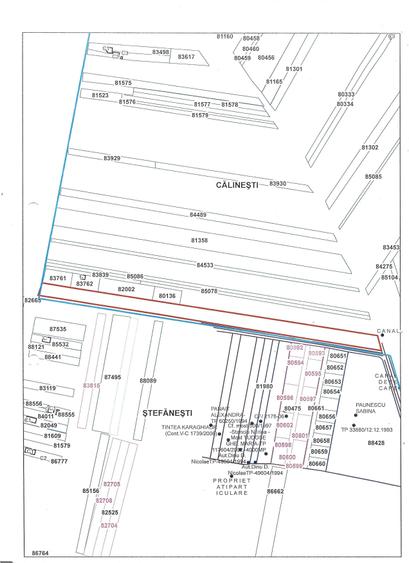 De Vanzare Teren (Intravilan (5000 m2) Extravilan (5000 m2)) Zona (Ciocanesti/Golesti) Arges - 3