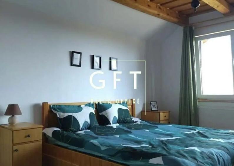 CABANA/PENSIUNE LA 25 MINUTE DE COLIBITA! PLATA IN RATE!!! - 10