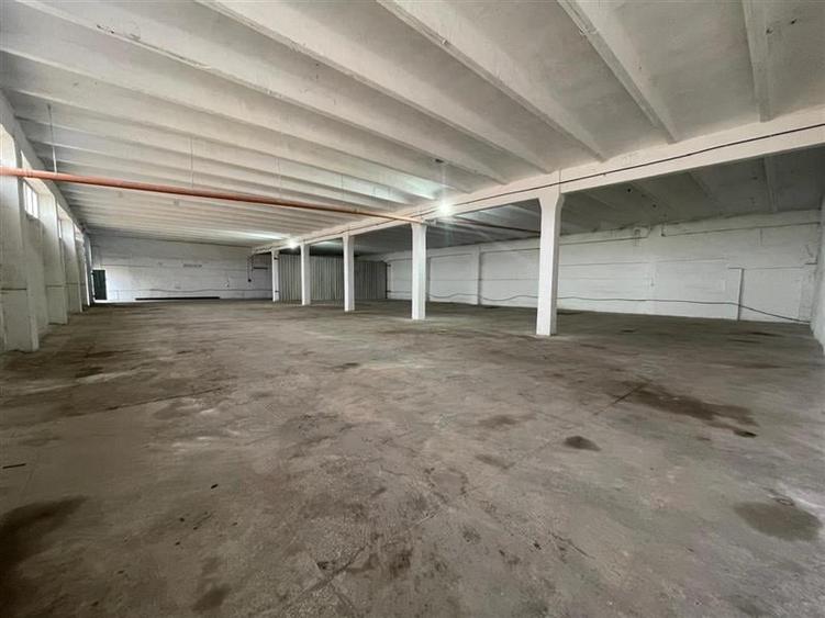 Hale de inchiriat zona Prislav Tulcea - 1