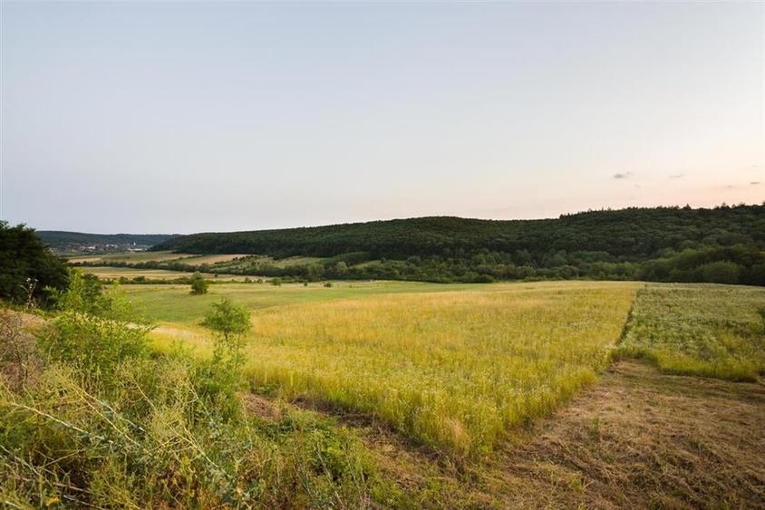 RECO Teren extravilan 11500 mp -Lazareni - 4