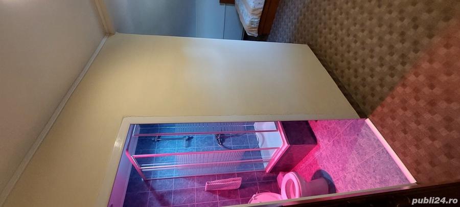 Casa 400 mp, teren 6500 mp - 4