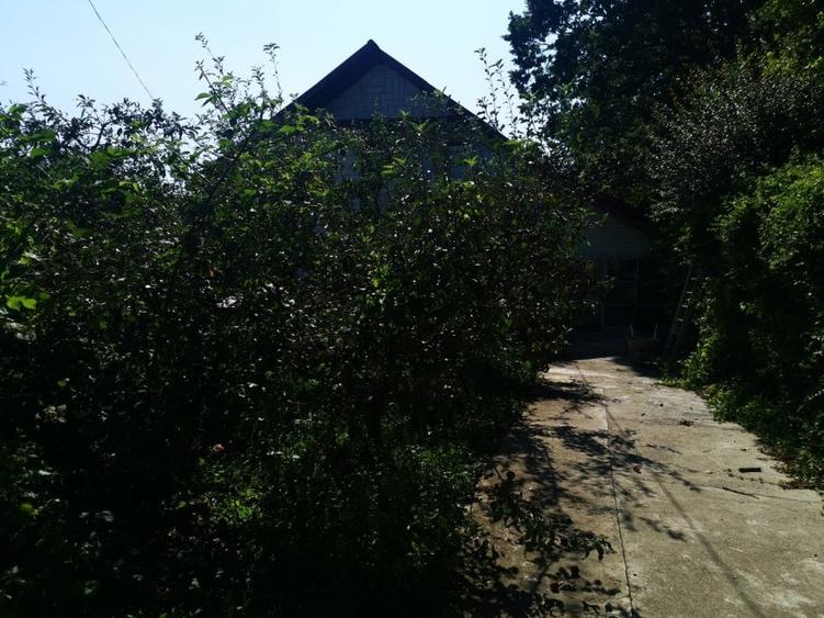 Casa P+E, Trivale, teren 930mp - 4