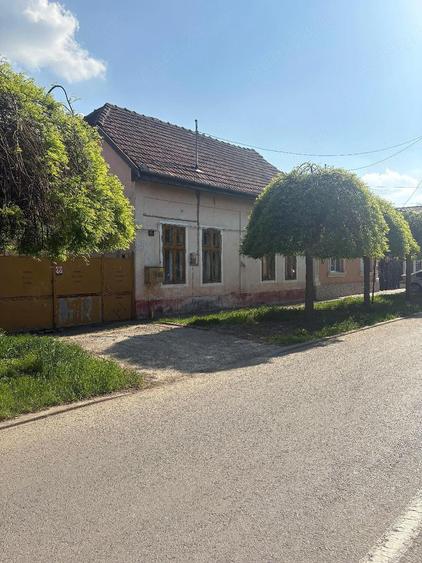 Casa de vanzare in Timi?oara - 1