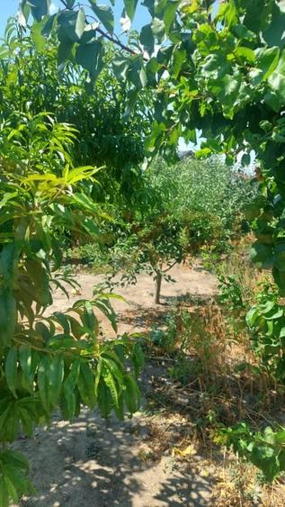 Casa de vanzare in centrul Cobadinului, COMISION 0% - 1