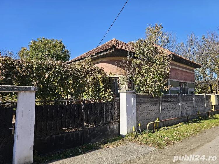 Casa de vanzare Petreni - 3