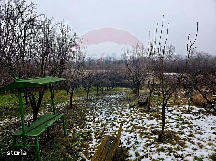 Teren intravilan 4,516mp Doina - 2