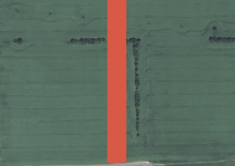 Teren Extravilan Balta Doamnei - 1