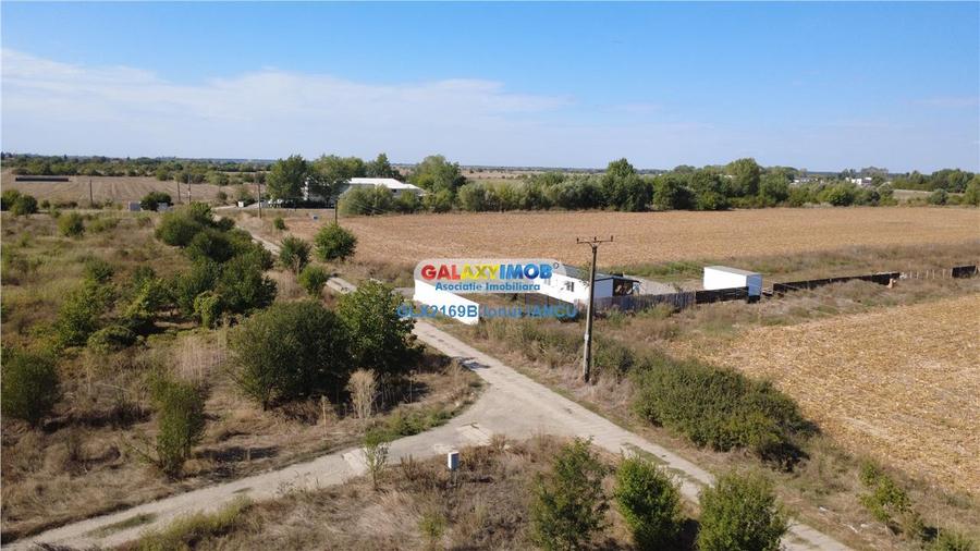 Teren Bragadiru - Podisor - 5