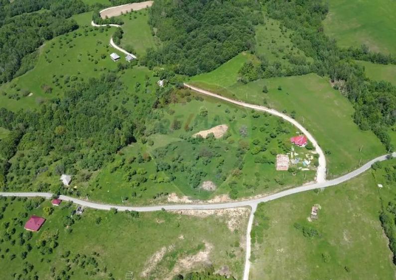 Teren intravilan de vanzare 12,700mp Codru Butesii / Stra... - 5