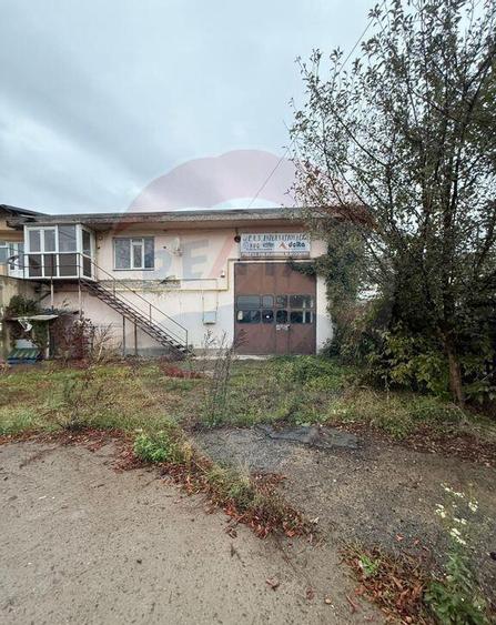 Hala - zona KAUFLAND Burdujeni - 8