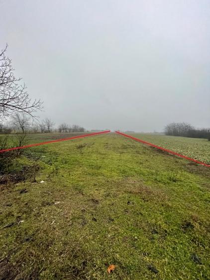 Teren intravilan + extravilan - 1