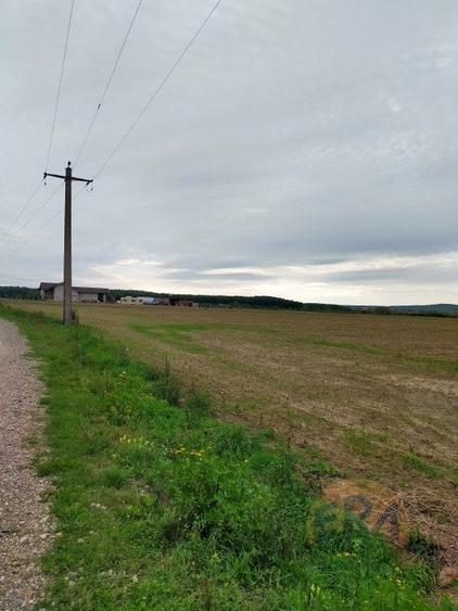 Teren Osorhei, Str. 610 - 1