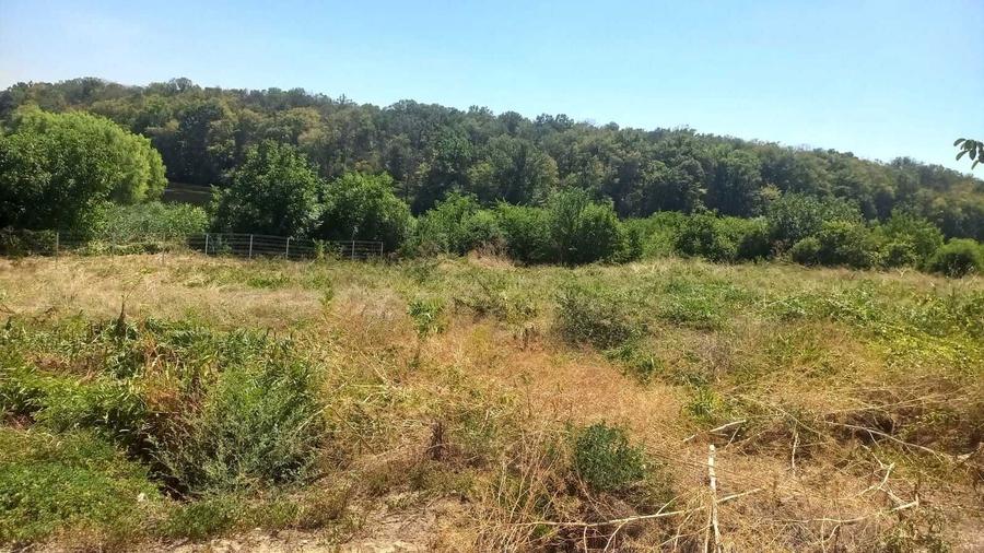 Vand teren in Ganeasa Ilfov, langa lac si padure. - 6