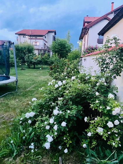 Vilă | 7 Camere |  Ds+P+1E+M | Teren 1346mp | Ieșire la Lac | Comuna Berceni - 5