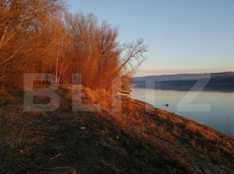 Teren, 120000mp, Insula Calinovat, Moldova Noua - 4