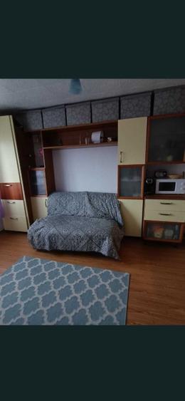 Garsoniera- Bartolomeu- str Lanii - 3