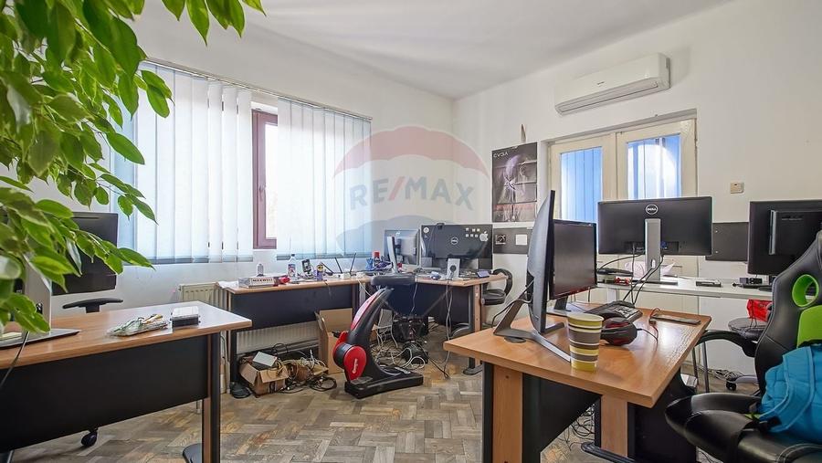 Vilă - DE INCHIRIAT - pentru diverse businessuri - 18