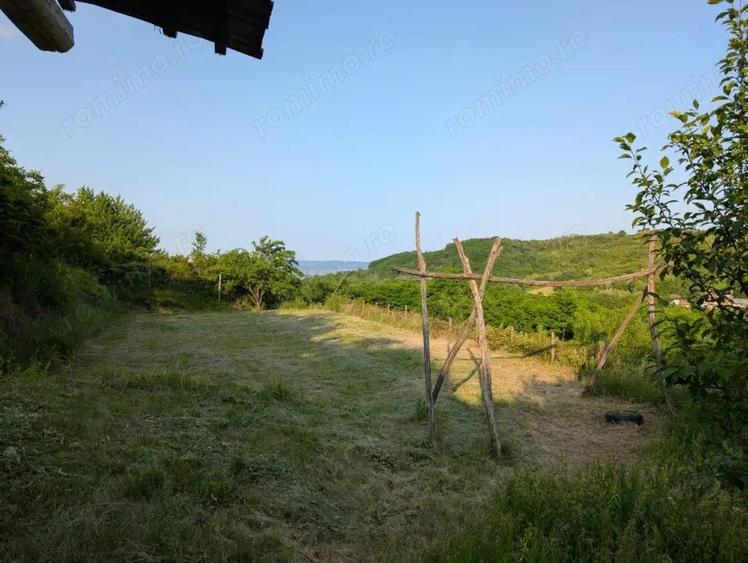 Sarata Bai- Oportunitate investi?ie- 4038 mp- priveli?te spectacol - 10