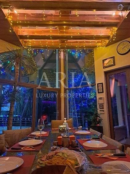 Vila grandioasa, Gradina Japoneza, SPA, Crama, Teren Tenis, Foisor, Iaz Pesti - 9