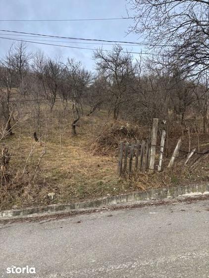 Teren de vanzare Fieni Dambovita - 1