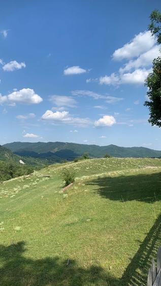 Vand teren intravilan 980 m2 Jitia / Vrancea - 5