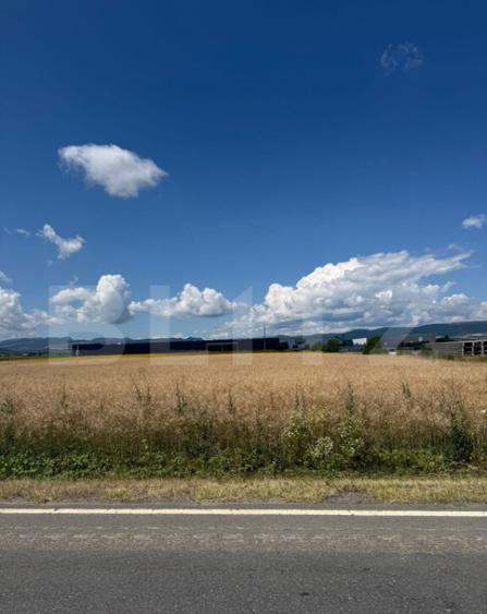 Teren intravilan 20000 mp, Parc Industrial Badeni - 4