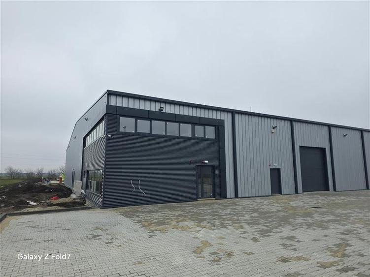 Vanzare depozit/hala/spatiu industrial Mogosoaia - Buftea - 9