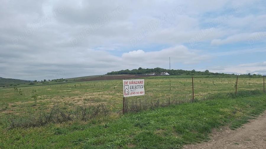 Teren de 60900 mp, în Gârbova