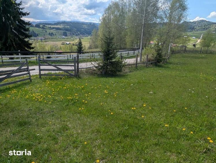 Vand teren la munte intravilan in Sarul Dornei la 8 km de Vatra Dornei - 3