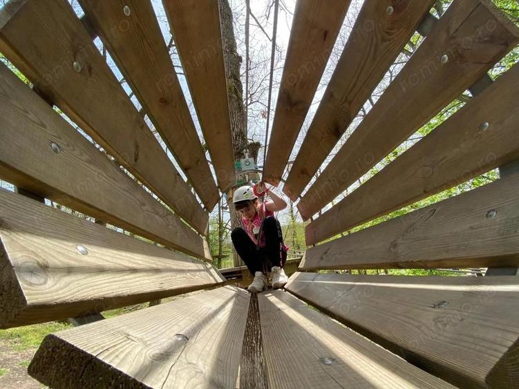 Domeniul Herneacova - 20