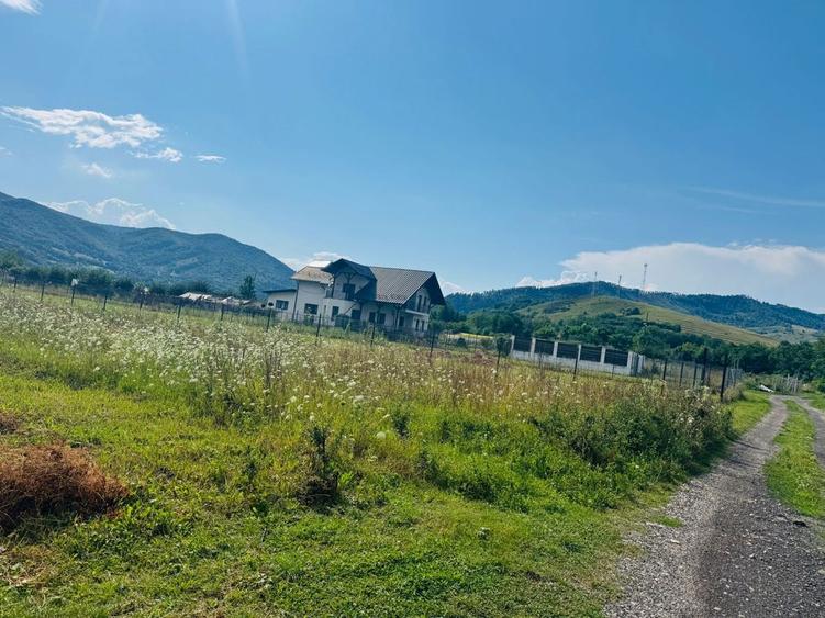 Teren intravilan - 5