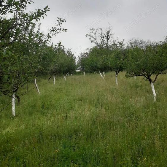 Casa de vanzare- - 3