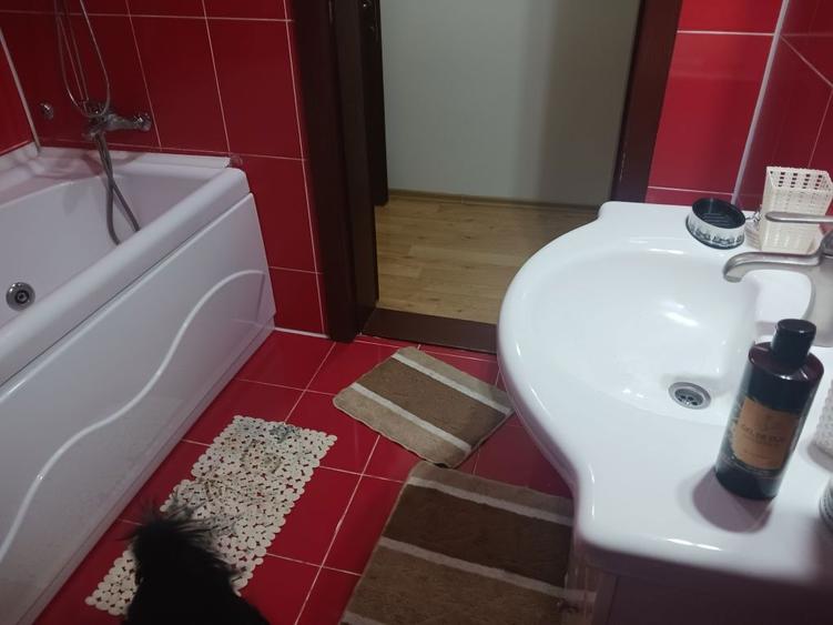 Casa de inchiriat,tip duplex ,garaj+gradina! - 2